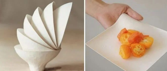 關於紙漿模塑一次性環保可降解餐具的常見8大疑問